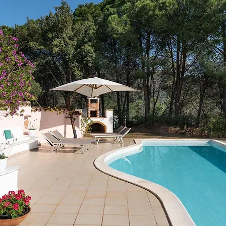 Fiori 4 *